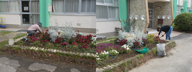 花ボラ　5月１