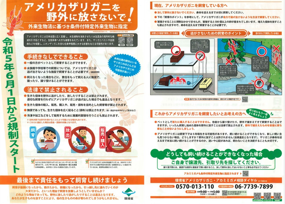 １