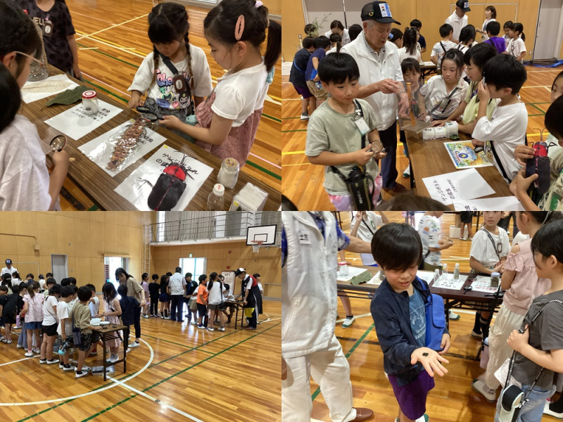 3年ホタル2