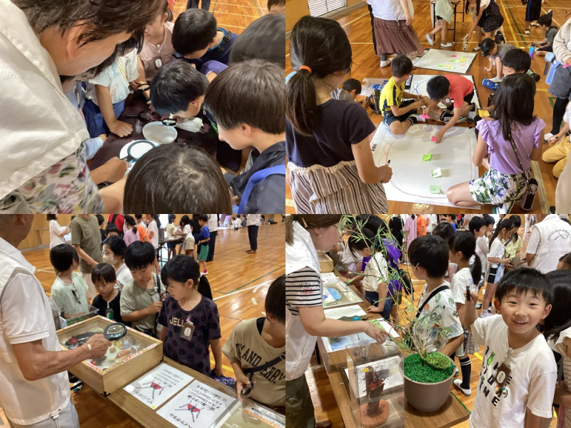 3年ホタル１