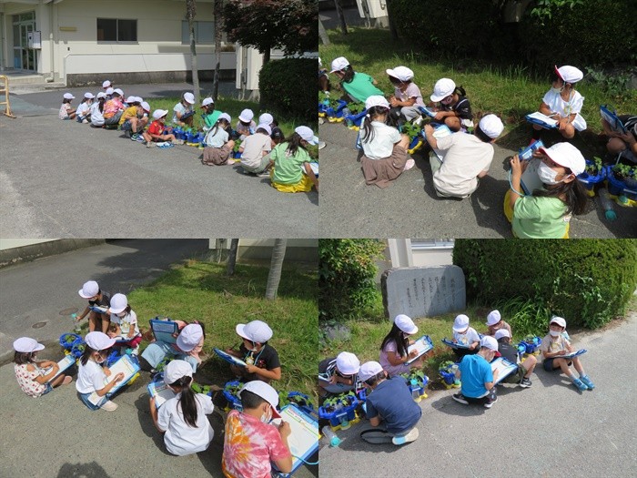 220601　1-3.観察jpg.jpg