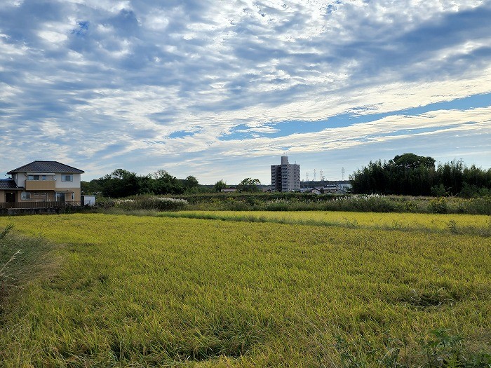 221018 秋の風景.jpg