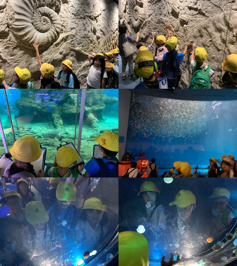 0929 水族館４