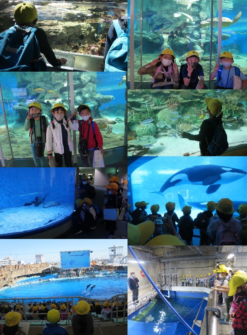 水族館.jpg