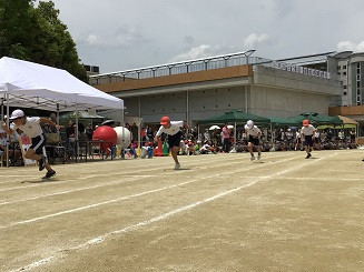IMG_2893