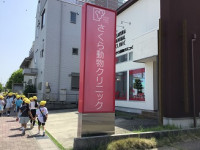 05IMG_6166