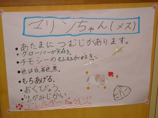 DSC00026.JPG