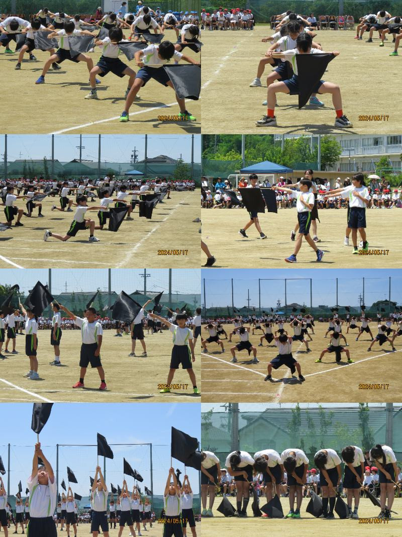 6年旗