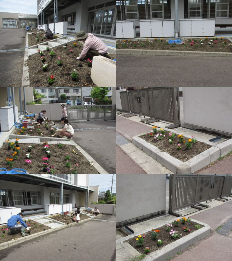 5.30花植え