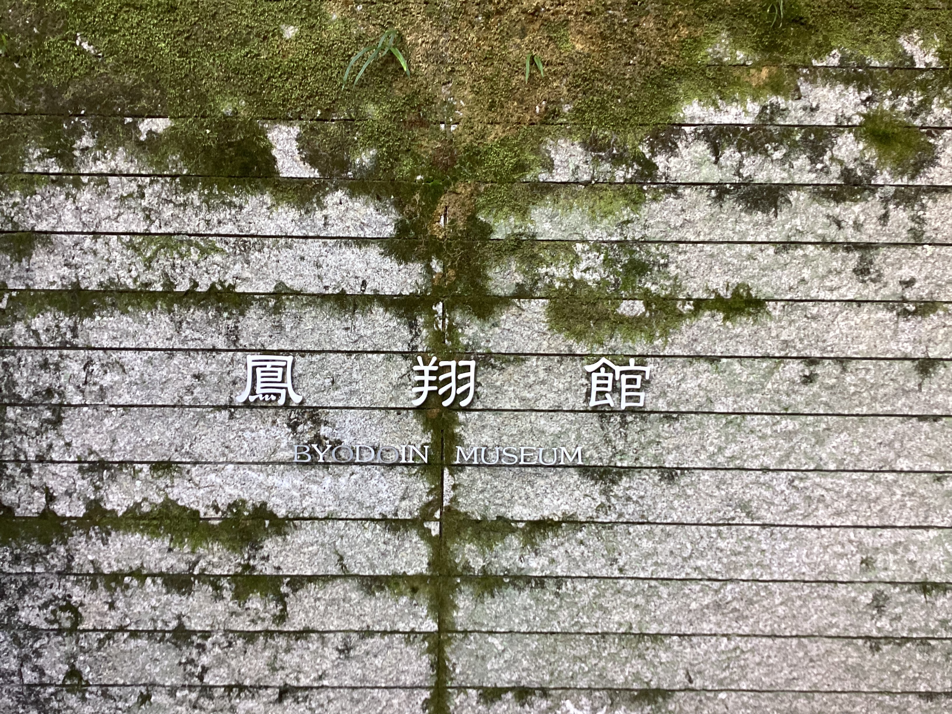 CB3B72E5-B3B9-457D-857D-339C33D65A90
