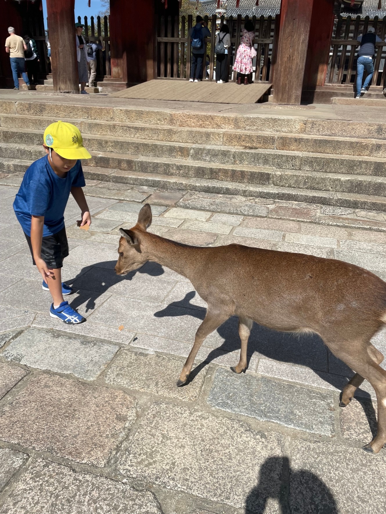 IMG_2030