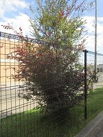 IMG_8126.JPG